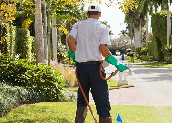 About Roseland FL Pest Control